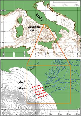 Impact of Freshwater Inflow From the Volturno River on Coastal Circulation